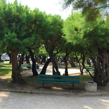 아파트 D'une A A 200 M De La Avec Vue Sur La Jardin Et Wifi *